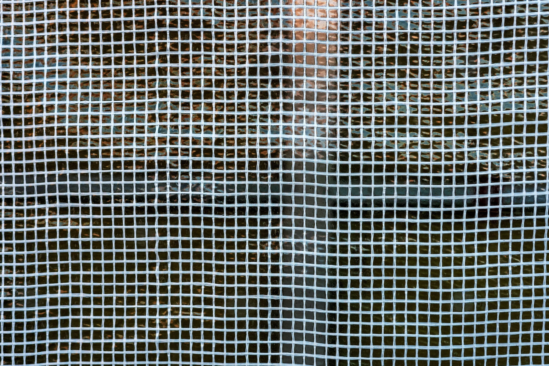 Insektenschutz