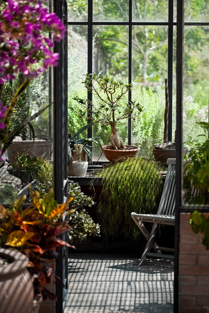 Blick auf eine Pflanzenoase mit Blumen und einem Holzstuhl in einem Wintergarten