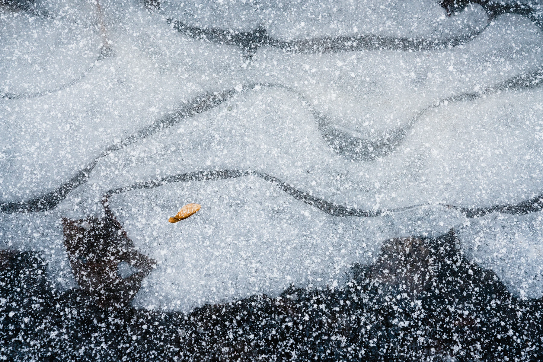 Gefrorene Oberfläche mit einer einzelnen Laubblätter im Schnee